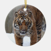 Smithsonian | Sumatran Tiger Damai Keramisch Ornament (Voorkant)