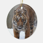 Smithsonian | Sumatran Tiger Damai Keramisch Ornament (Links)