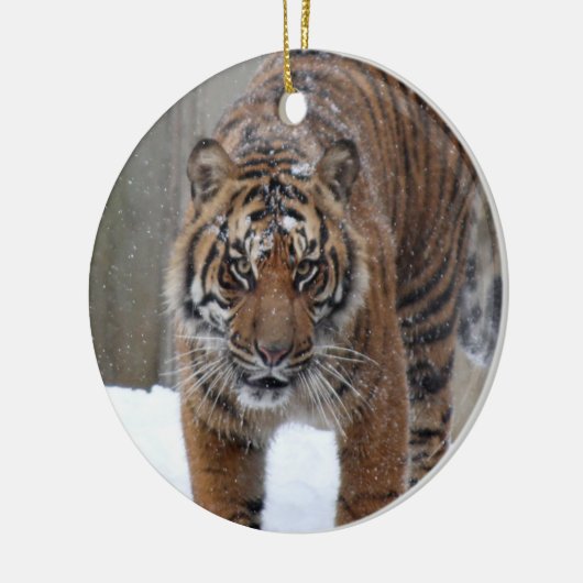 Smithsonian | Sumatran Tiger Damai Keramisch Ornament (Links)
