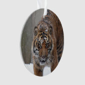 Smithsonian | Sumatran Tiger Damai Ornament (voorkant)