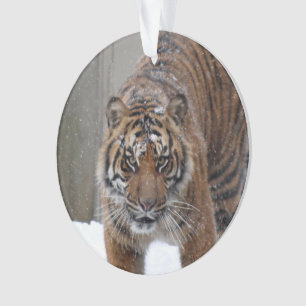 Smithsonian   Sumatran Tiger Damai Ornament