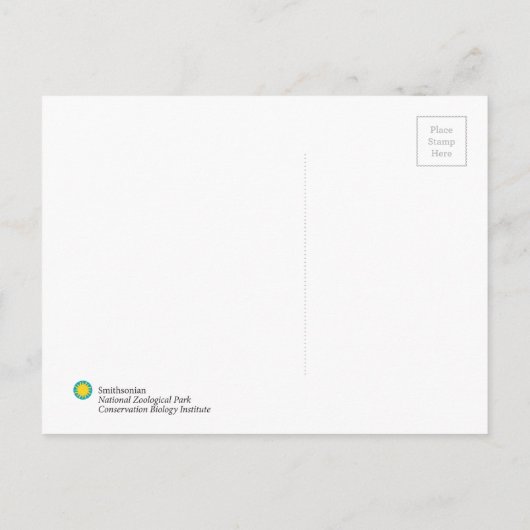 Smithsonian | Sumatran Tiger Soyono Briefkaart (Achterkant)