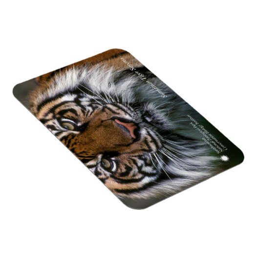 Smithsonian | Sumatran Tiger Soyono Magneet (Rechterzijde)