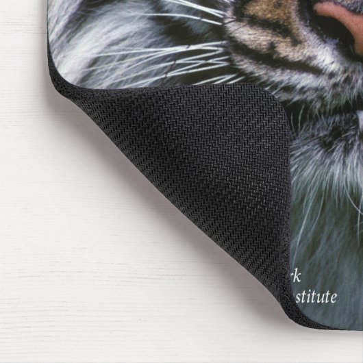 Smithsonian | Sumatran Tiger Soyono Muismat (Hoek)