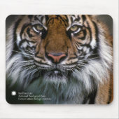 Smithsonian | Sumatran Tiger Soyono Muismat (Voorkant)