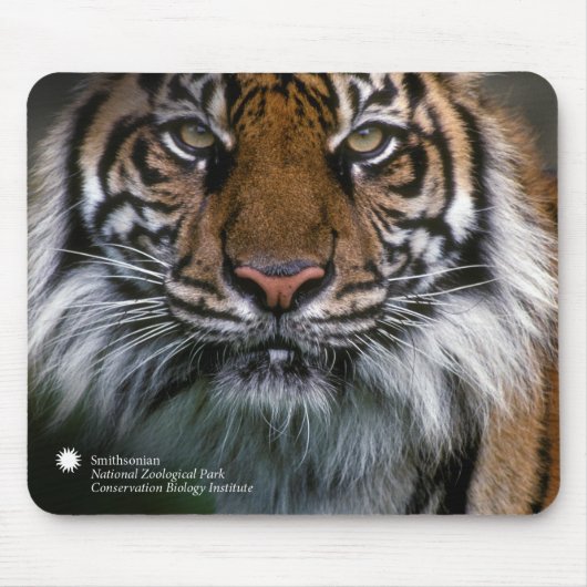 Smithsonian | Sumatran Tiger Soyono Muismat (Voorkant)
