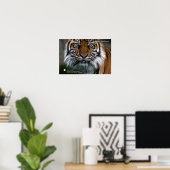 Smithsonian | Sumatran Tiger Soyono Poster (Thuiskantoor)