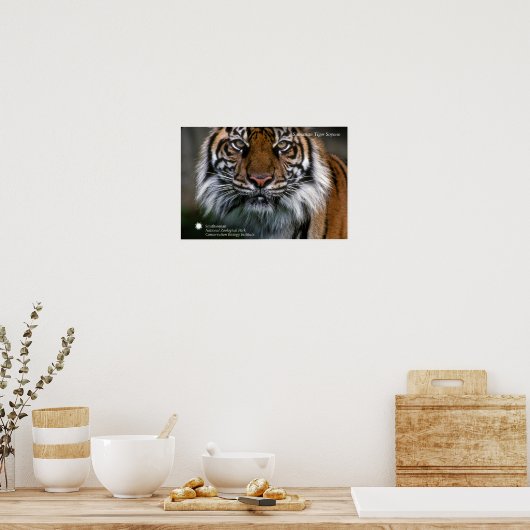 Smithsonian | Sumatran Tiger Soyono Poster (Keuken)