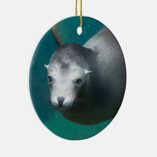 Smithsonian | Zee Lion Keramisch Ornament (Rechts)