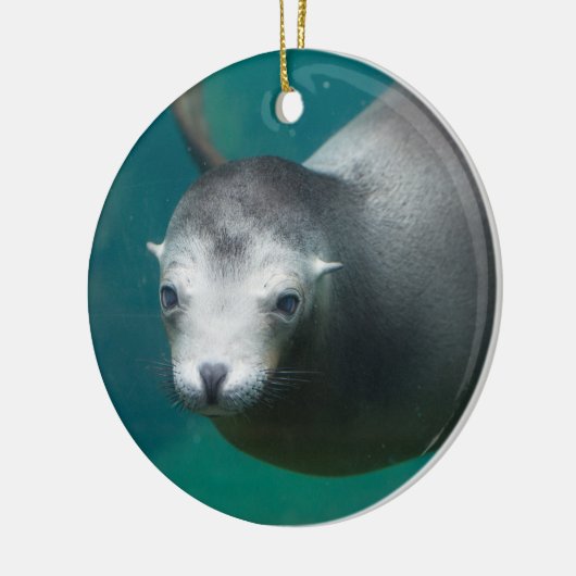 Smithsonian | Zee Lion Keramisch Ornament (Links)