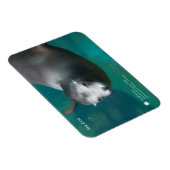 Smithsonian | Zee Lion Magneet (Rechterzijde)