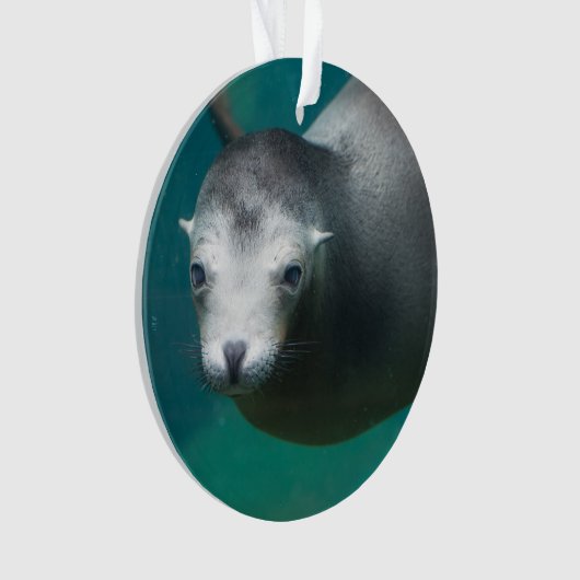 Smithsonian | Zee Lion Ornament (voorkant)