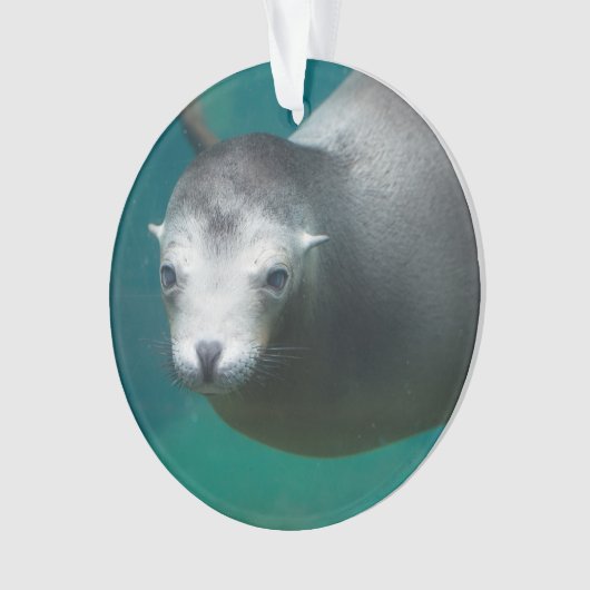 Smithsonian | Zee Lion Ornament (voorkant)