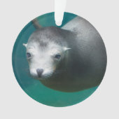 Smithsonian | Zee Lion Ornament (voorkant)
