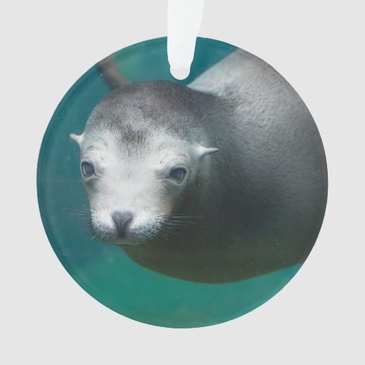 Smithsonian | Zee Lion Ornament (voorkant)