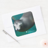 Smithsonian | Zee Lion Vierkante Sticker (Envelop)