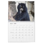 Smithsonian's National Zoo 2022 Calendar Kalender (Mar 2027)