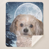 Smitty Winter Moon Sherpa Deken (Voorkant)