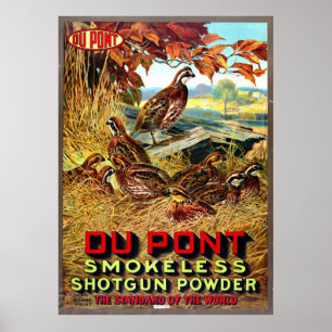 Smokeloze geweren Powder AD 1913 Poster