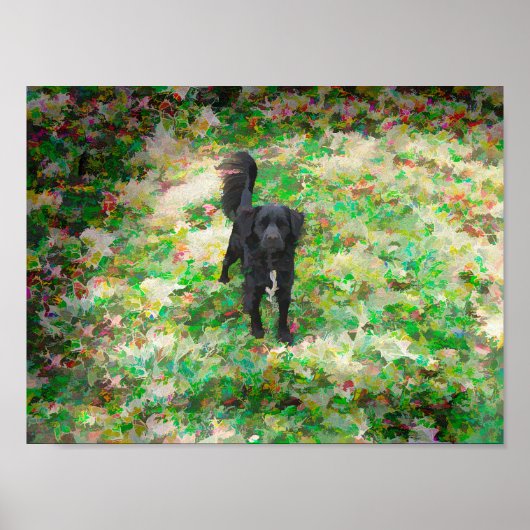 Smokey Black Mutt Cartoon Art-effect Poster (Voorkant)