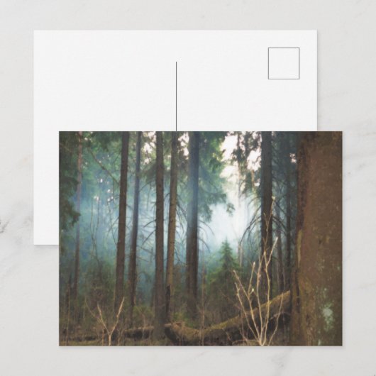 Smokey bossen briefkaart (Voorkant / Achterkant)