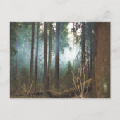 Smokey bossen briefkaart (Voorkant)