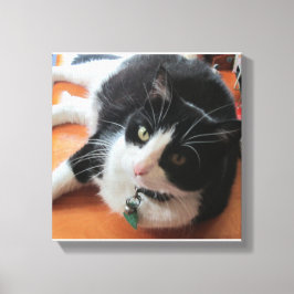 Smokey De Kat Canvas Print