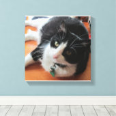Smokey De Kat Canvas Print (Insitu (Houten vloer))