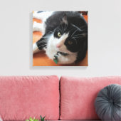 Smokey De Kat Canvas Print (Insitu (Woonkamer))