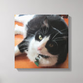 Smokey De Kat Canvas Print (Voorkant)