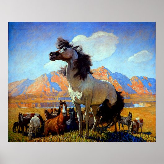 Smokey Face N C Wyeth Circa 1917 Poster (Voorkant)