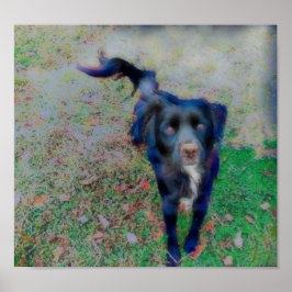 Smokey-gloed in briljante vezelverf poster