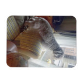 Smokey Magneet (Horizontaal)