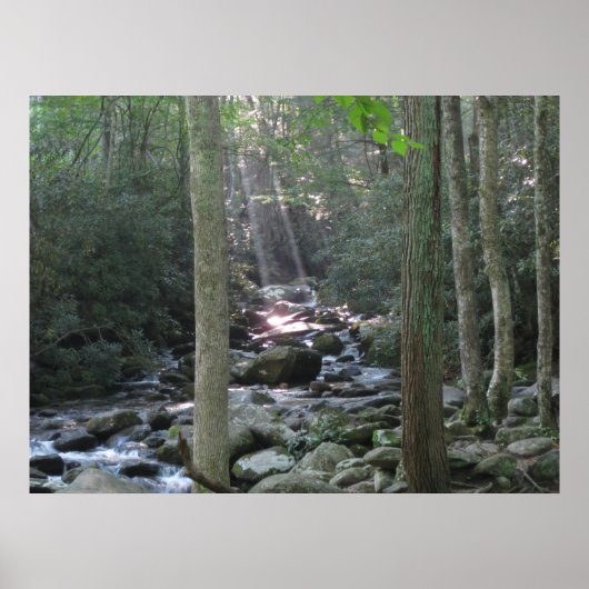 Smokey Mountain Stream Poster (Voorkant)