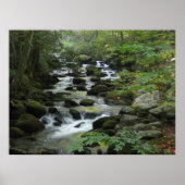 Smokey Mountains Poster (Voorkant)