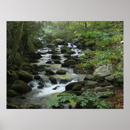 Smokey Mountains Poster (Voorkant)