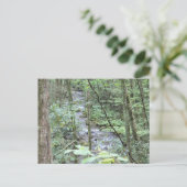 smokey mountainstream briefkaart (Staand voorkant)