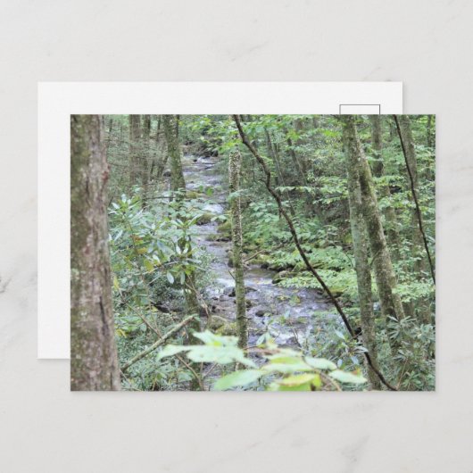 smokey mountainstream briefkaart (Voorkant / Achterkant)