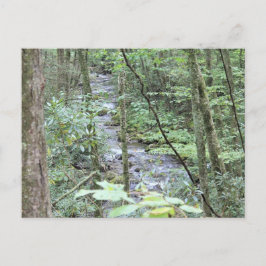 smokey mountainstream briefkaart