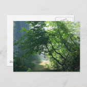 Smokey Paths Trails Forests Bossen Briefkaart (Voorkant / Achterkant)