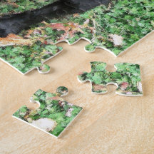 Smokey Poseert voor Cameraraadsel