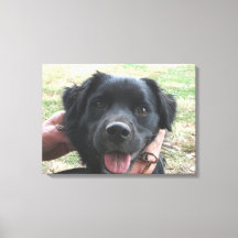 Smokey Poseert Voor de Camera