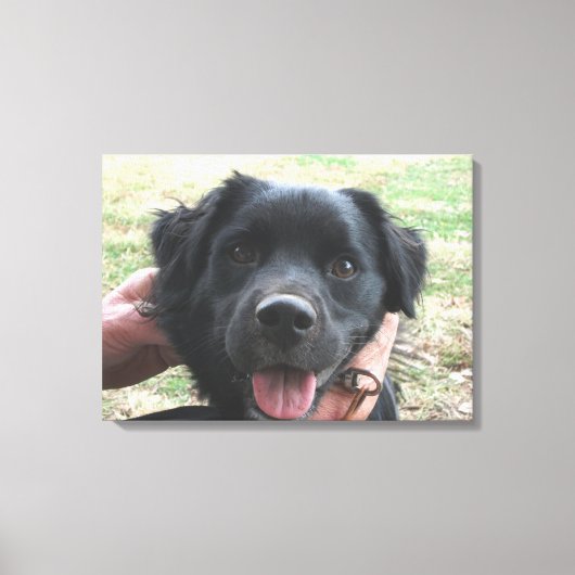 Smokey Poseert Voor de Camera Canvas Afdruk (Voorkant)