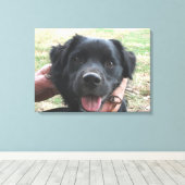 Smokey Poseert Voor de Camera Canvas Afdruk (Insitu (Houten vloer))