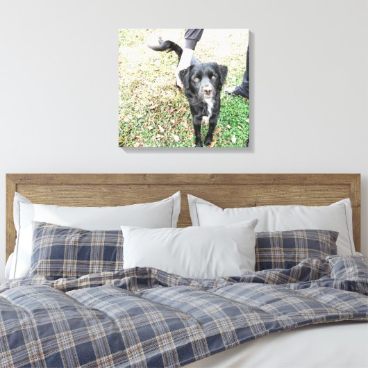 Smokey Poses for Camera Canvas Print (Insitu (Slaapkamer))