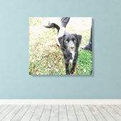 Smokey Poses for Camera Canvas Print (Insitu (Houten vloer))