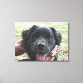 Smokey Poses voor de camera Canvas Afdruk