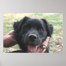 Smokey Poses voor de camera