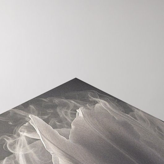 Smokey Tulip Canvas Afdruk (Hoek(Top))