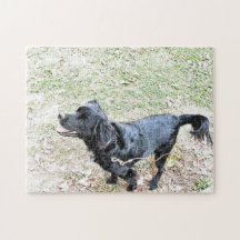 Smokey Wacht Om Een Wandeling Te Maken Puzzel